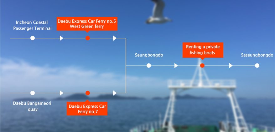 Incheon Coastal Passenger Terminal 출발 : Incheon Coastal Passenger Terminal→Daebu Express Car Ferry no.5→Seungbongdo Island→Renting a private fishing boats→Saseungbongdo Island Daebu Bangameori quay : Daebu Express Car Ferry no.7→Seungbongdo Island→개인낚시배대여→Saseungbongdo Island