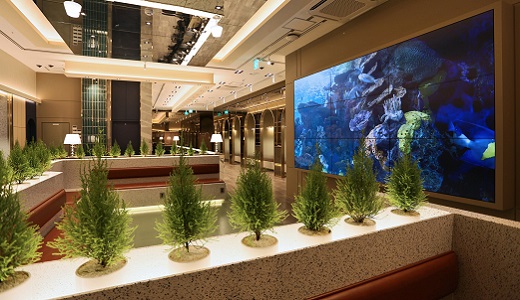 エリート美容外科